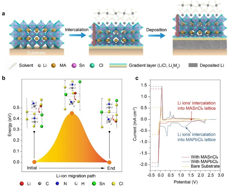 中國(guó)科大等在金屬鹵化物鈣鈦礦導(dǎo)鋰層穩(wěn)定鋰電池方面取得進(jìn)展
