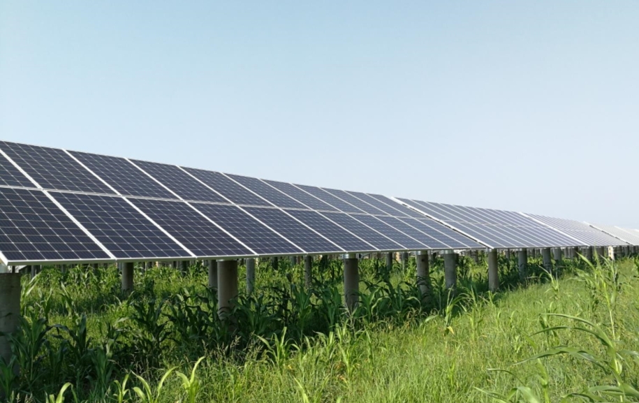 華能山東沾化清風(fēng)湖100MW項(xiàng)目