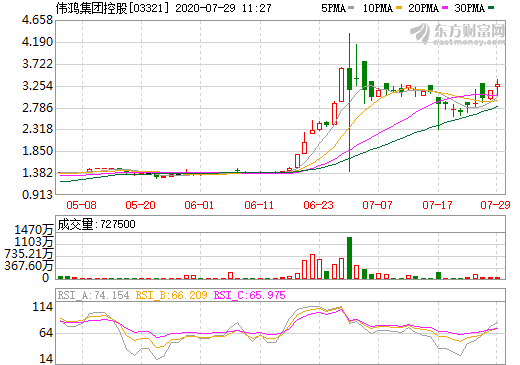 偉鴻集團控股 偉鴻集團控股