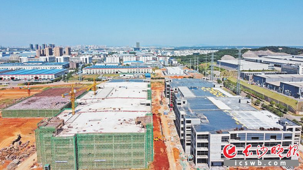 比亞迪寧鄉(xiāng)動(dòng)力電池生產(chǎn)基地項(xiàng)目主要生產(chǎn)廠房4號棟和5號棟均已封頂