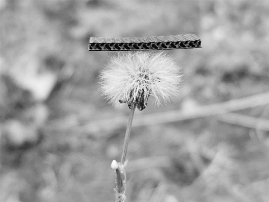 電極材料機(jī)械性能展示