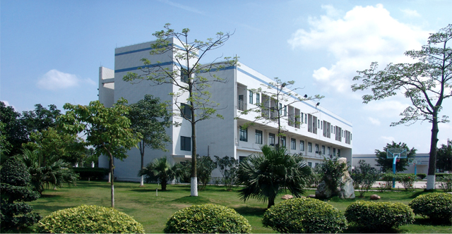 道氏技術 道氏技術