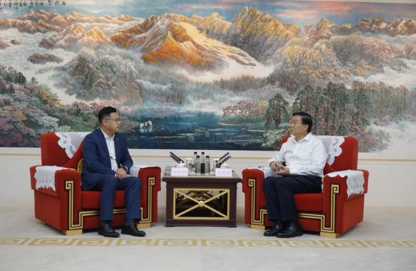 蜂巢能源,動力電池,鋰電池