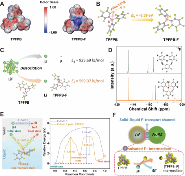 陰離子受體TPFPB輔助構(gòu)建固液氟通道的表征分析
