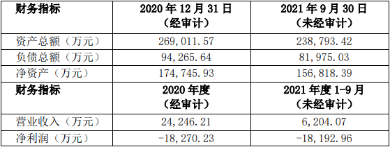 CHS公司財務指標
