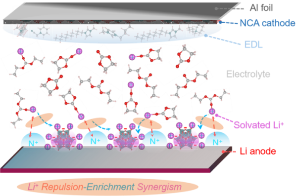 上海硅酸鹽所鋰金屬電池雙功能電解液設計研究獲進展