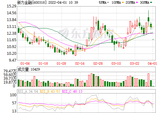 鋰電池,比克動力,新力金融 鋰電池,比克動力,新力金融