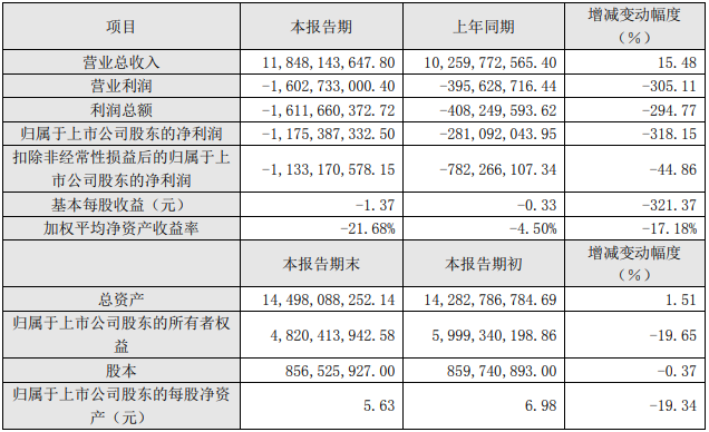 2021年度主要財務數據和指標(單位:元) 2021年度主要財務數據和指標(單位:元)