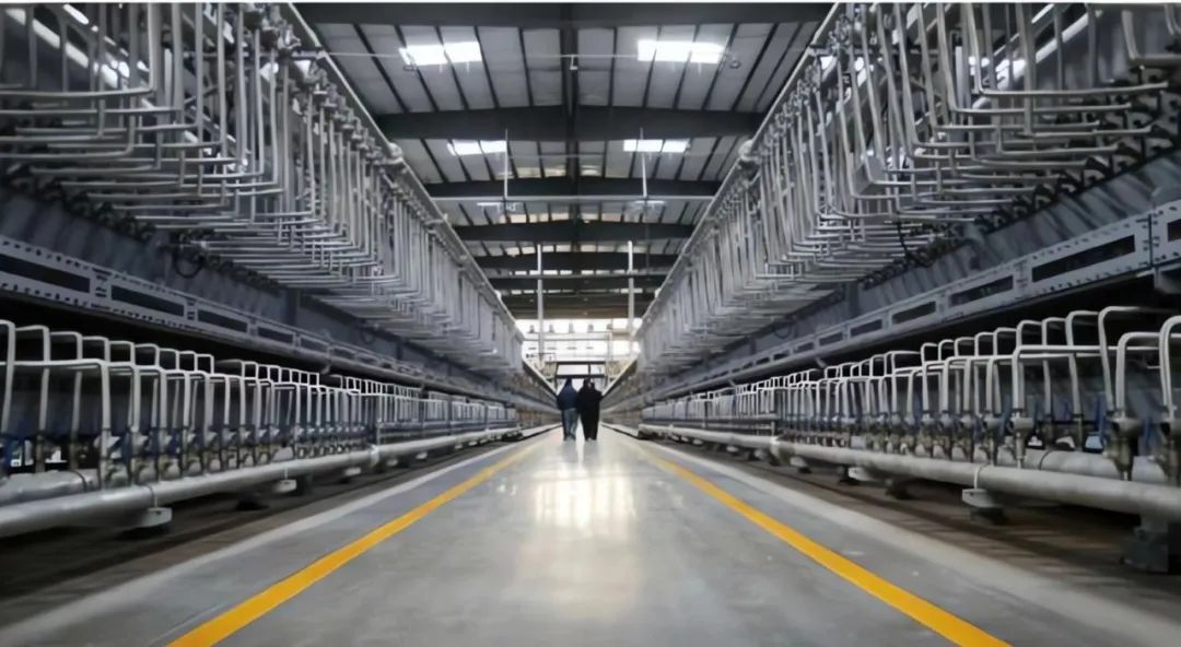 圖片來源：豐元股份