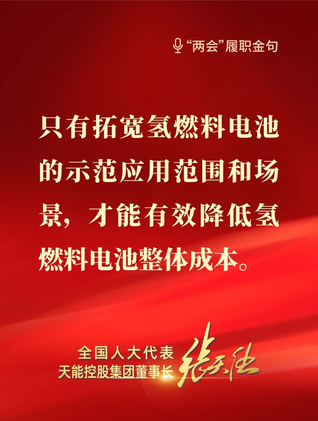 全國(guó)人大代表，天能控股集團(tuán)董事長(zhǎng)張?zhí)烊? style=