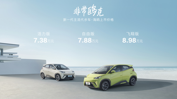 比亞迪,新能源汽車,比亞迪海鷗