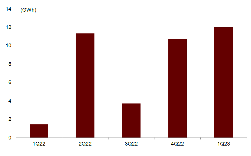 圖表24:一帶一路國家新增項(xiàng)目容量 圖表24:一帶一路國家新增項(xiàng)目容量