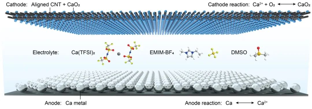 圖1. 鈣-氧氣電池結(jié)構(gòu)示意圖
