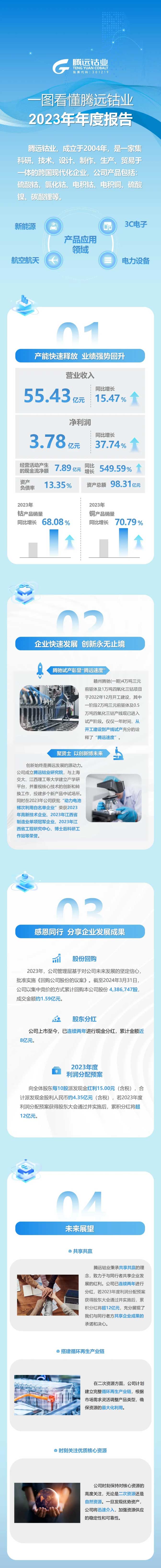 一圖看懂騰遠鈷業2023年年度報告