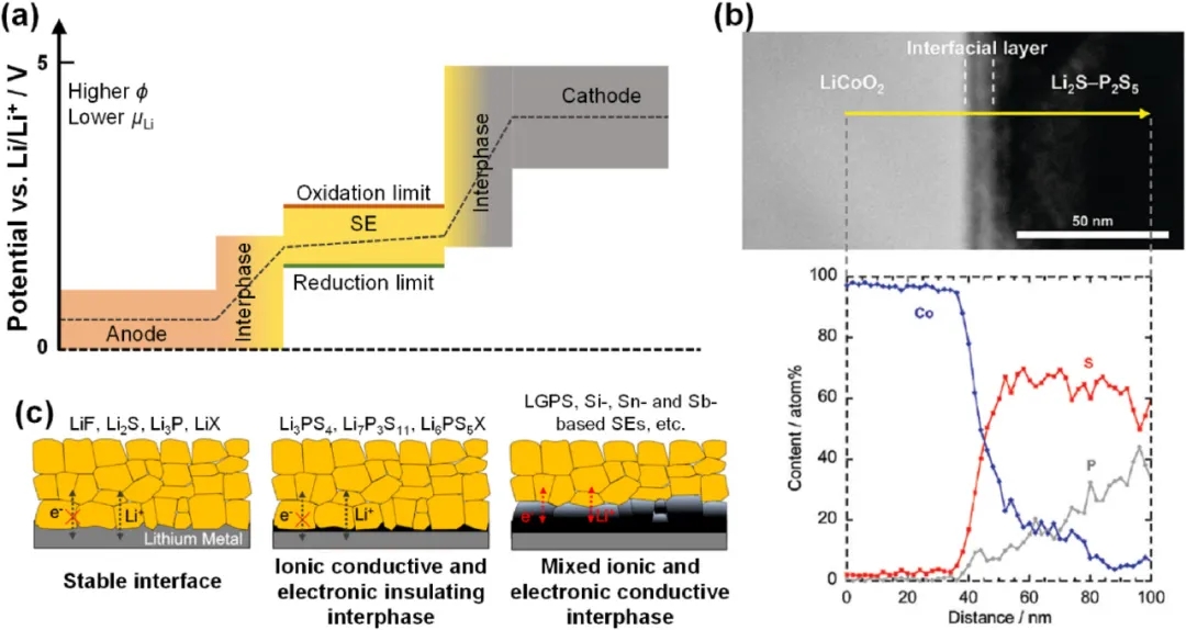 圖7 電極和硫化物SE之間界面反應(yīng)。