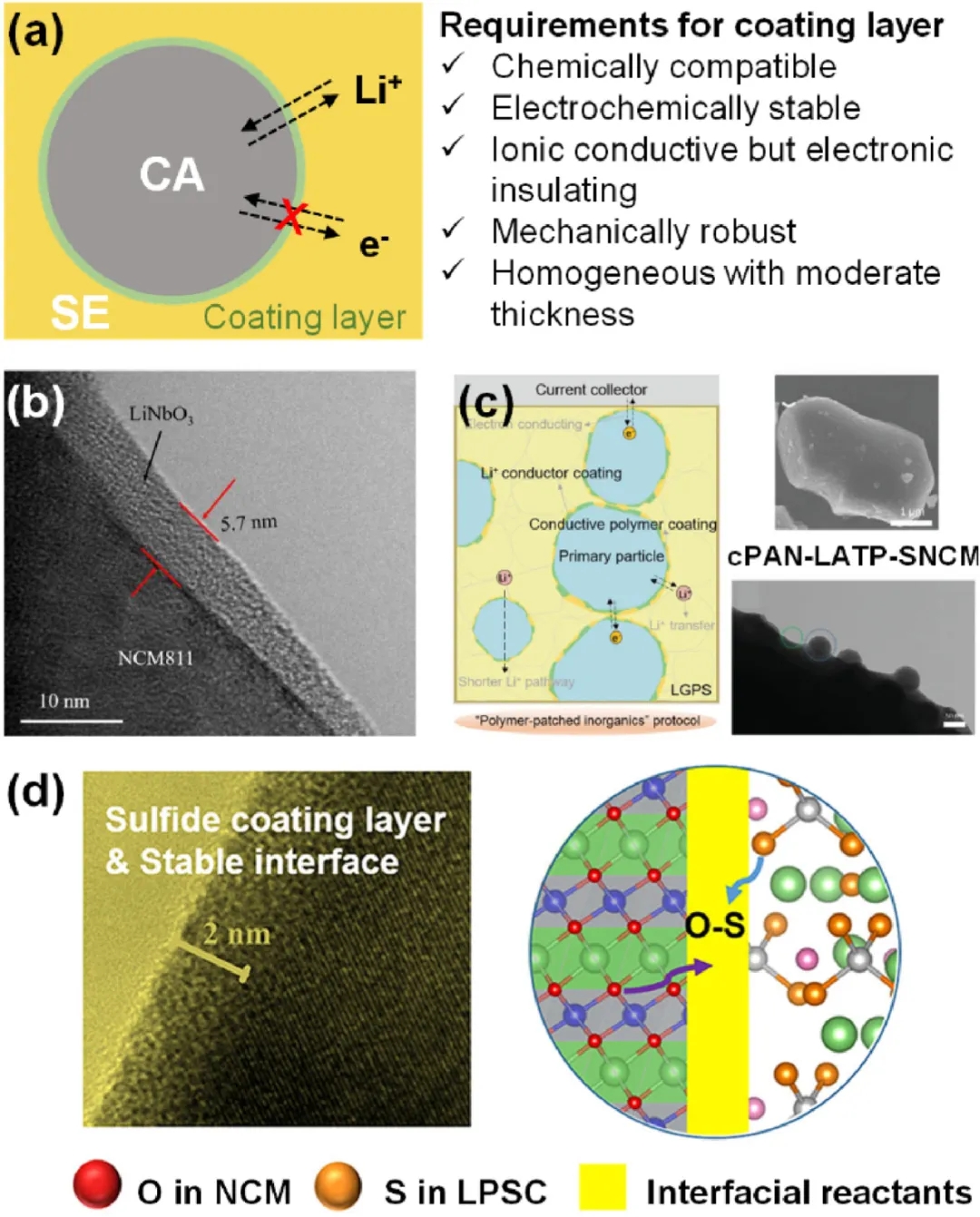 圖8 抑制界面副反應(yīng)的界面工程。