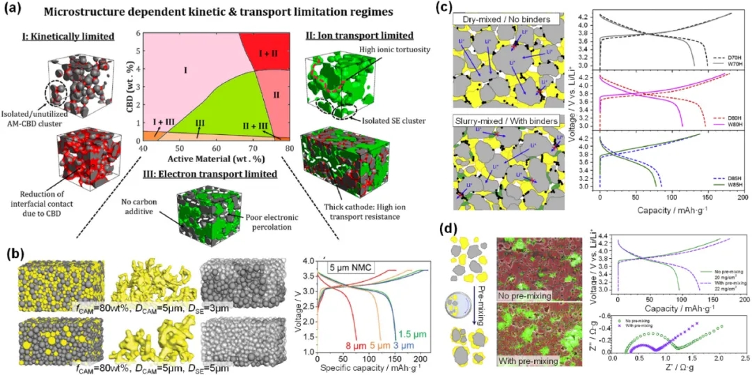 圖11 影響ASSB復(fù)合電極內(nèi)輸運(yùn)動(dòng)力學(xué)的關(guān)鍵因素。