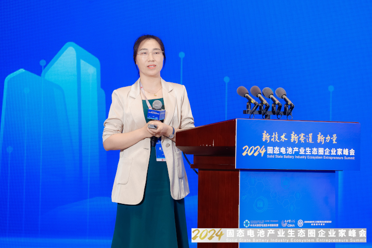 諾德新材料股份有限公司研究院院長、博士丁瑜