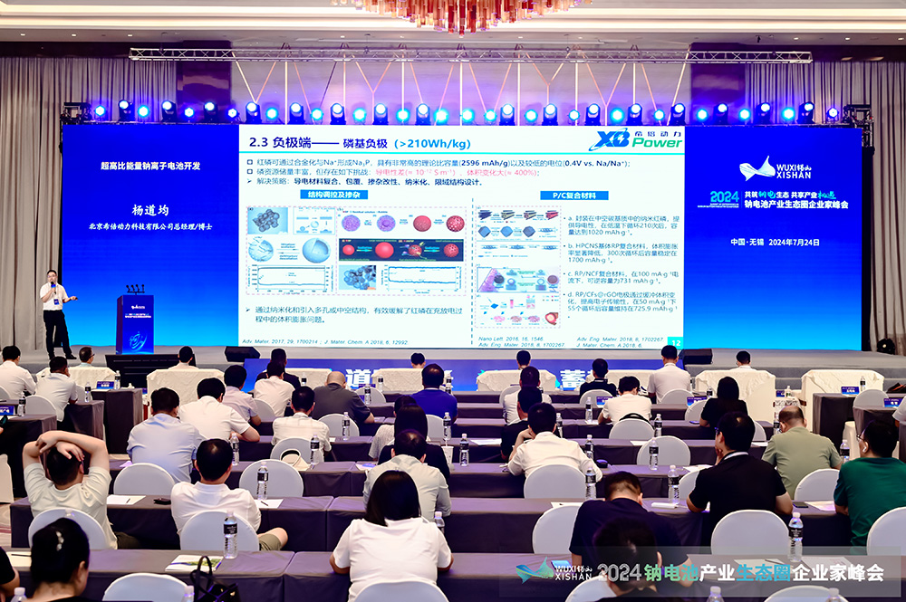 2024中國（無錫）鈉電池產(chǎn)業(yè)生態(tài)圈企業(yè)家峰會(huì)現(xiàn)場 