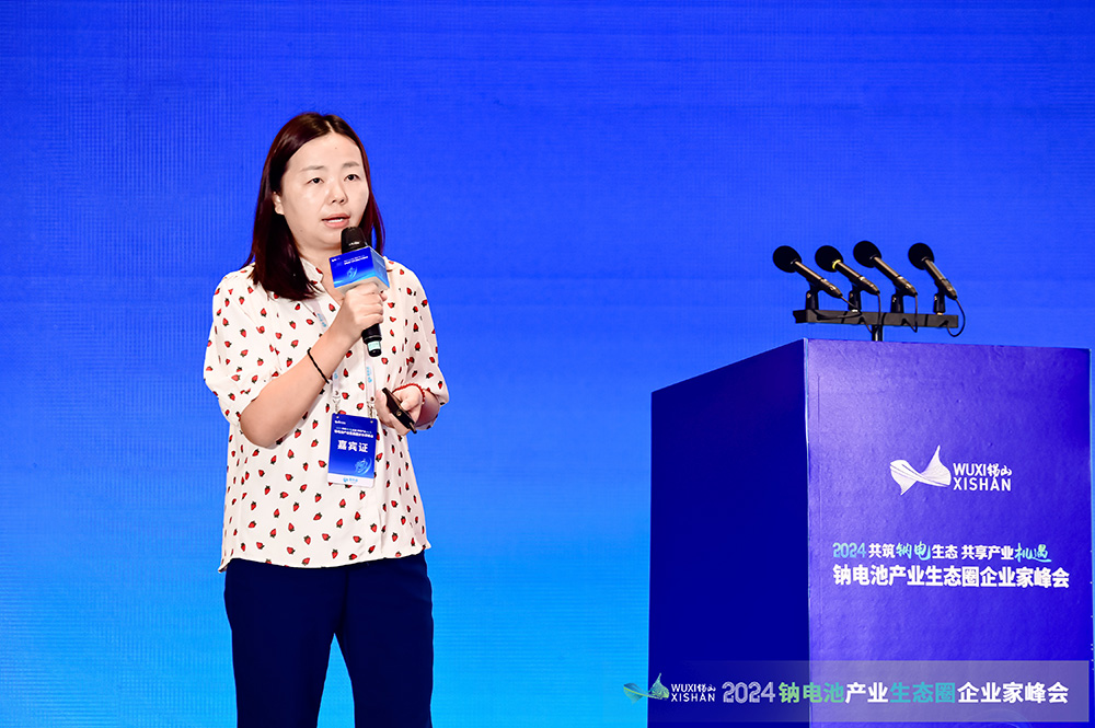 深圳中興新材技術(shù)股份有限公司副總經(jīng)理、研究院院長(zhǎng)張輝