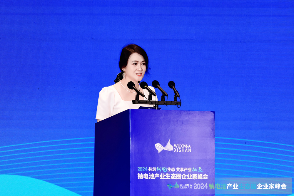 中國電池網(wǎng)副總裁耿茜茜