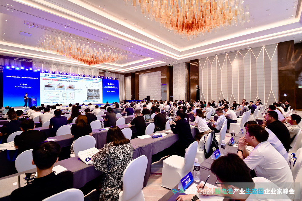 風口？風險？千億級鈉電池賽道如何突圍？