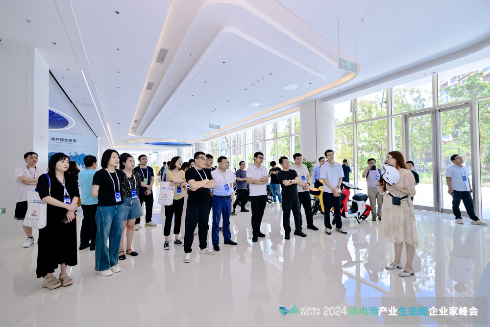 江蘇新日電動(dòng)車股份有限公司 江蘇新日電動(dòng)車股份有限公司