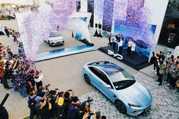 4628.6億元！同比增長20.7%！海關總署發布！