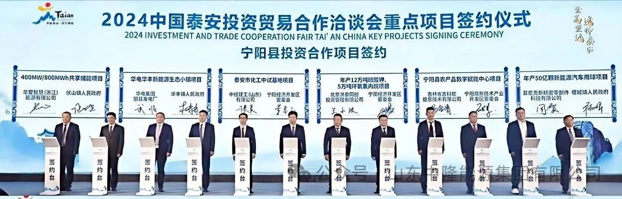 電化學(xué)儲能,儲能,磷酸鐵鋰 電化學(xué)儲能,儲能,磷酸鐵鋰