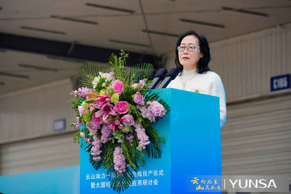 中國汽車動力電池產業創新聯盟秘書長許艷華