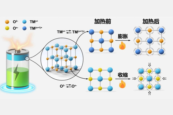 圖片來源:中科院之聲 圖片來源:中科院之聲