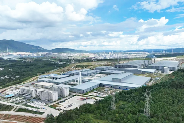 炭素巨頭出手！劍指負極材料！杉杉集團重整迎新變